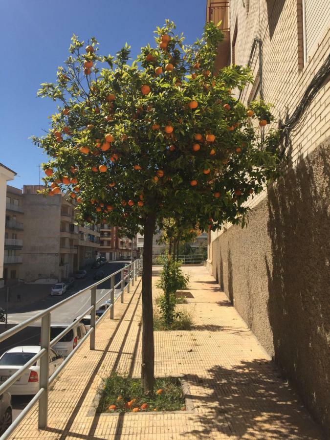 Apartment Sunny Harbour Santa Pola Buitenkant foto